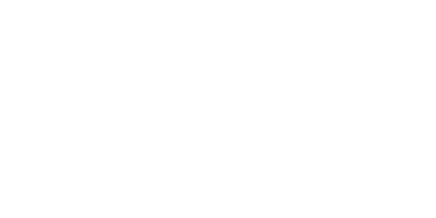 Governo do Pará